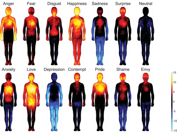 Color-coded human figures map the bodily sensations associated with particular emotions.