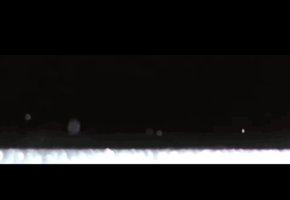 tumblr_nl0di72BK51r98cn7o2_r1_500